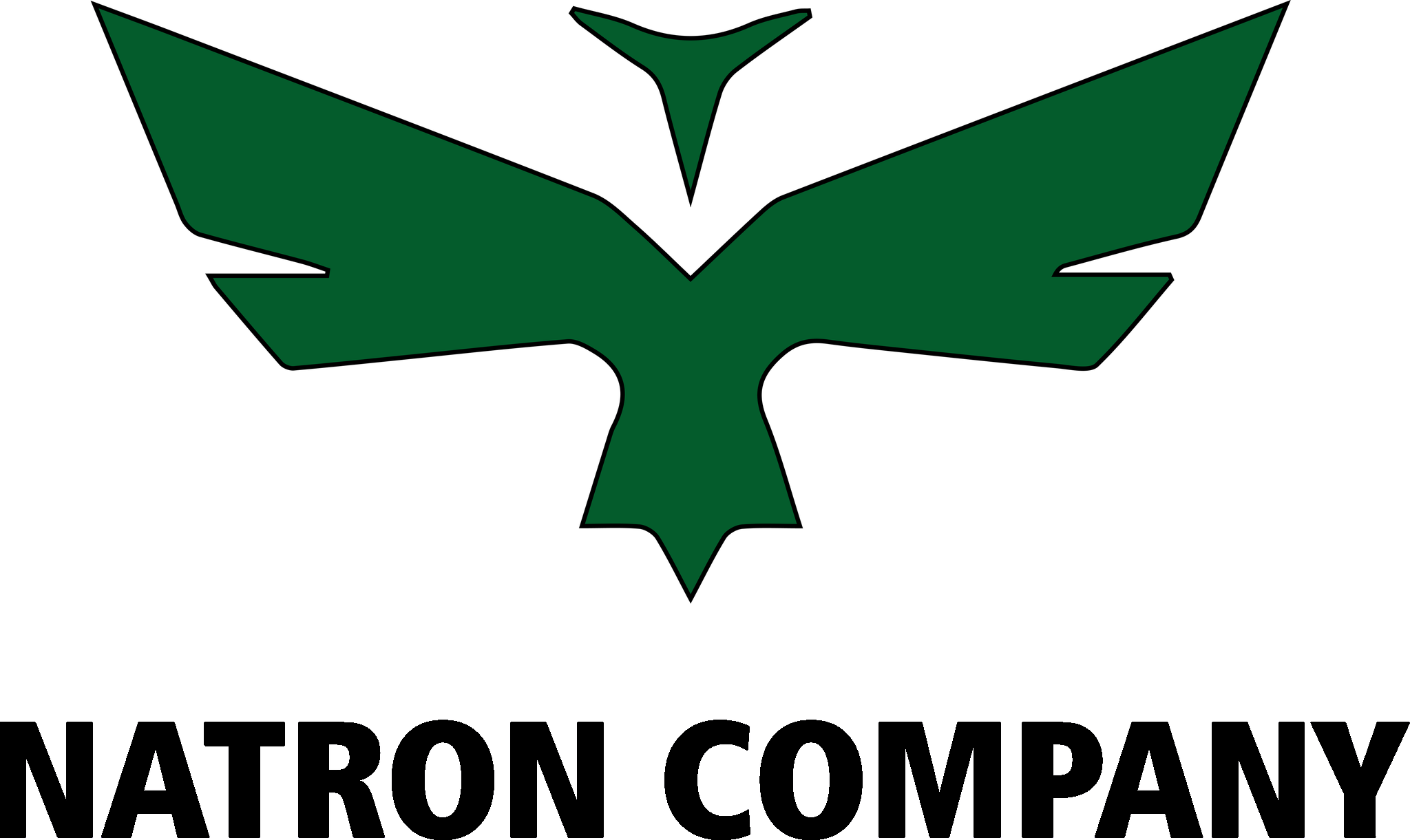 ناترۆن Logo
